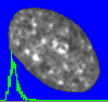 example cell