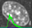 example cell