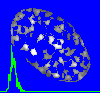 example cell