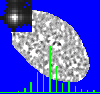 example cell