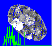 example cell