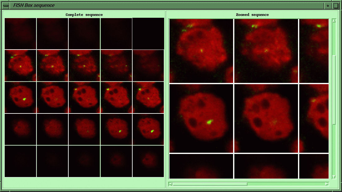 figure5